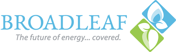 broadleaf